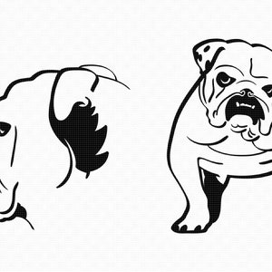 english bulldog dog svg, eps, png, dxf, clipart for cricut and silhouette