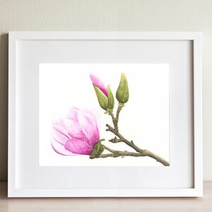 Magnolia Blossom Print, botanical wall art, nature print, magnolia art gift for sister, pink floral home decor, watercolor flower painting