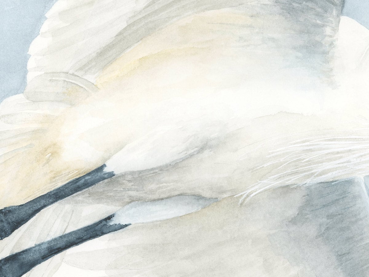 White Egret Original Watercolor Fine Art Print, Egret Painting, Heron ...