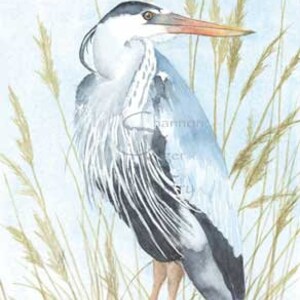 Blue heron art print, great blue heron painting, heron wall art, beach bird wall art, sea grass painting for beach house, gift for mom image 6