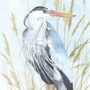 Blue heron art print, great blue heron painting, heron wall art, beach bird wall art, sea grass painting for beach house, gift for mom image 7