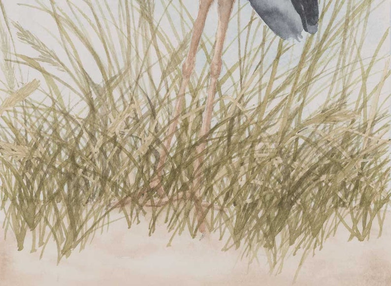 Blue heron art print, great blue heron painting, heron wall art, beach bird wall art, sea grass painting for beach house, gift for mom image 3