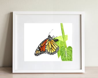 Monarch butterfly print, butterfly wall art, giclée painting, watercolor butterfly painting, butterfly life cycle, Mother's day gift for mom