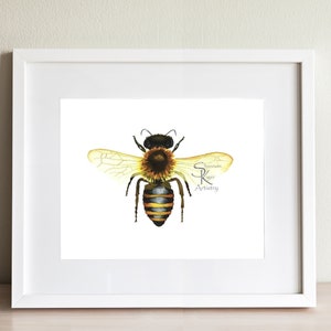 Honey Bee Watercolor, bee print art, honey bee painting, bee decor for kitchen, bee keeper gift for girlfriend, pollinator art, insect art