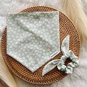 Sage Floral Dog Bandana, Sage Floral Dog bandana, Over the collar dog bandana, Tie-on dog bandana & matching scrunchie, Boho Dog bandanas