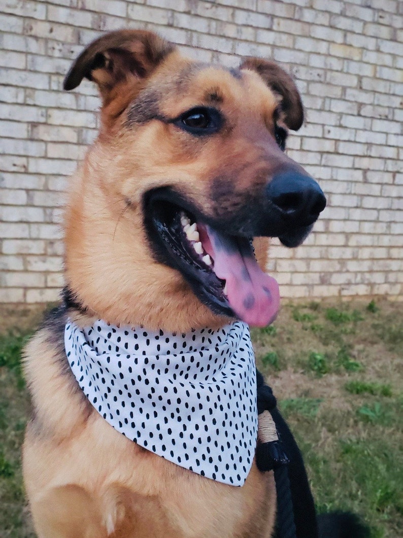 Dalmatian Dog Bandana/through the Collar Dog Bandana/matching Etsy