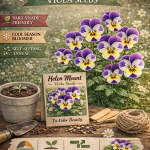 May include: A set of three ceramic mugs with a speckled, matte finish. The mugs are in shades of cream, light gray, and dark gray. Each mug has a simple, minimalist design, perfect for coffee or tea.