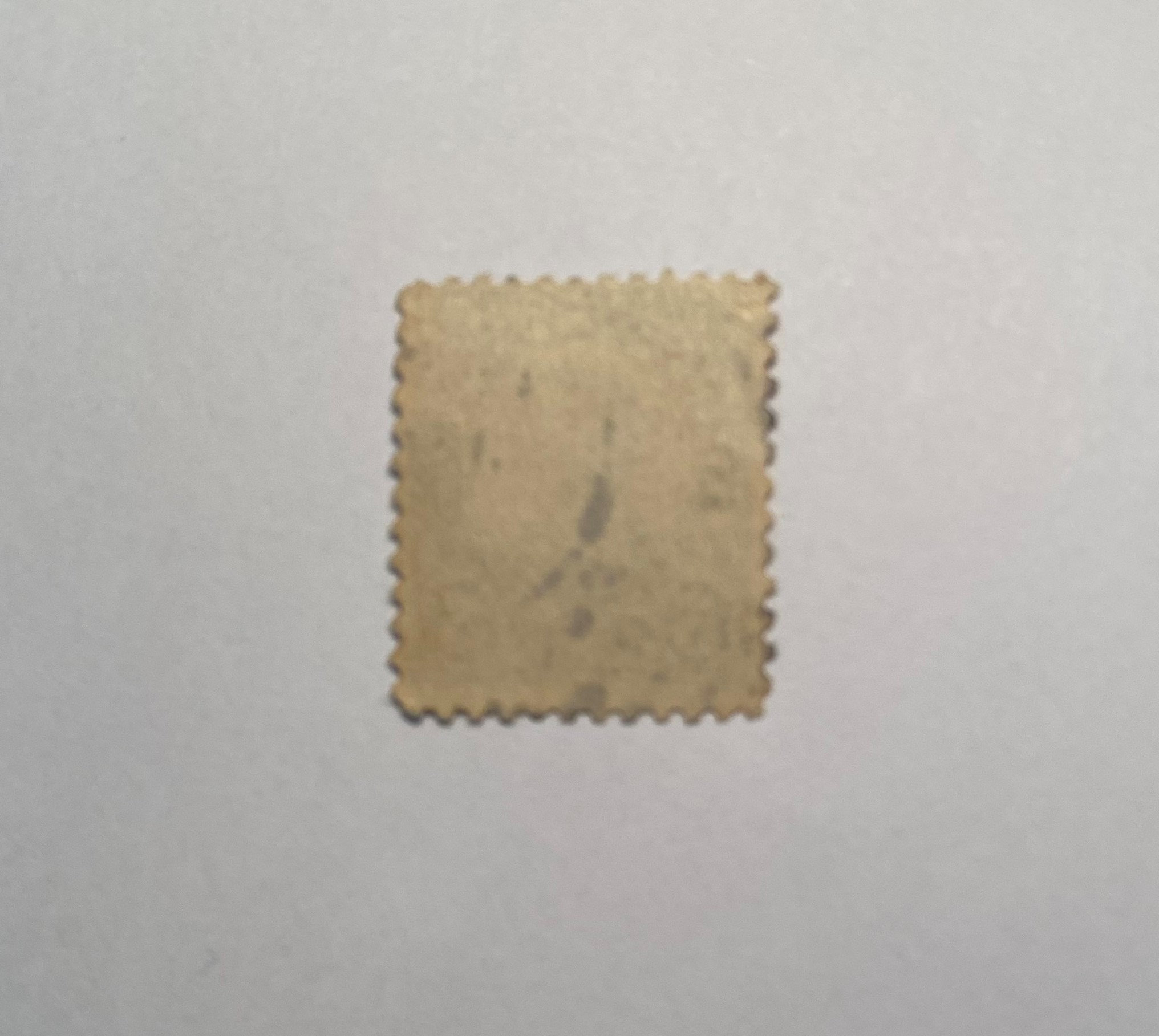 il_fullxfull.3220258800_ifma.jpg
