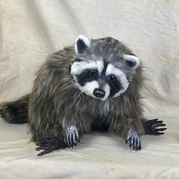 SOLD / Handmade to Order / Realistic Raccoon / Original Design Artist Plush Soft Sculpture Plushie / Art Doll Totem Spirit Animal Racoon