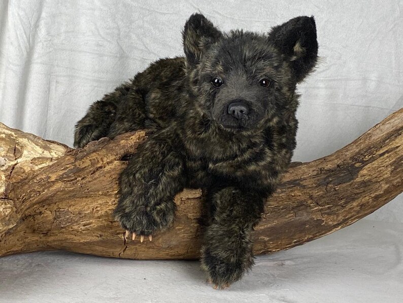 One Available Now / Realistic Black Wolf Cub / Lifesize Young Etsy