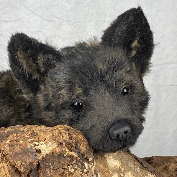 One Available Now / Realistic Black Wolf Cub / Life-size Young Wolf Cub / Totem Spirit Animal / Soft Toy Plush / Soft Sculpture