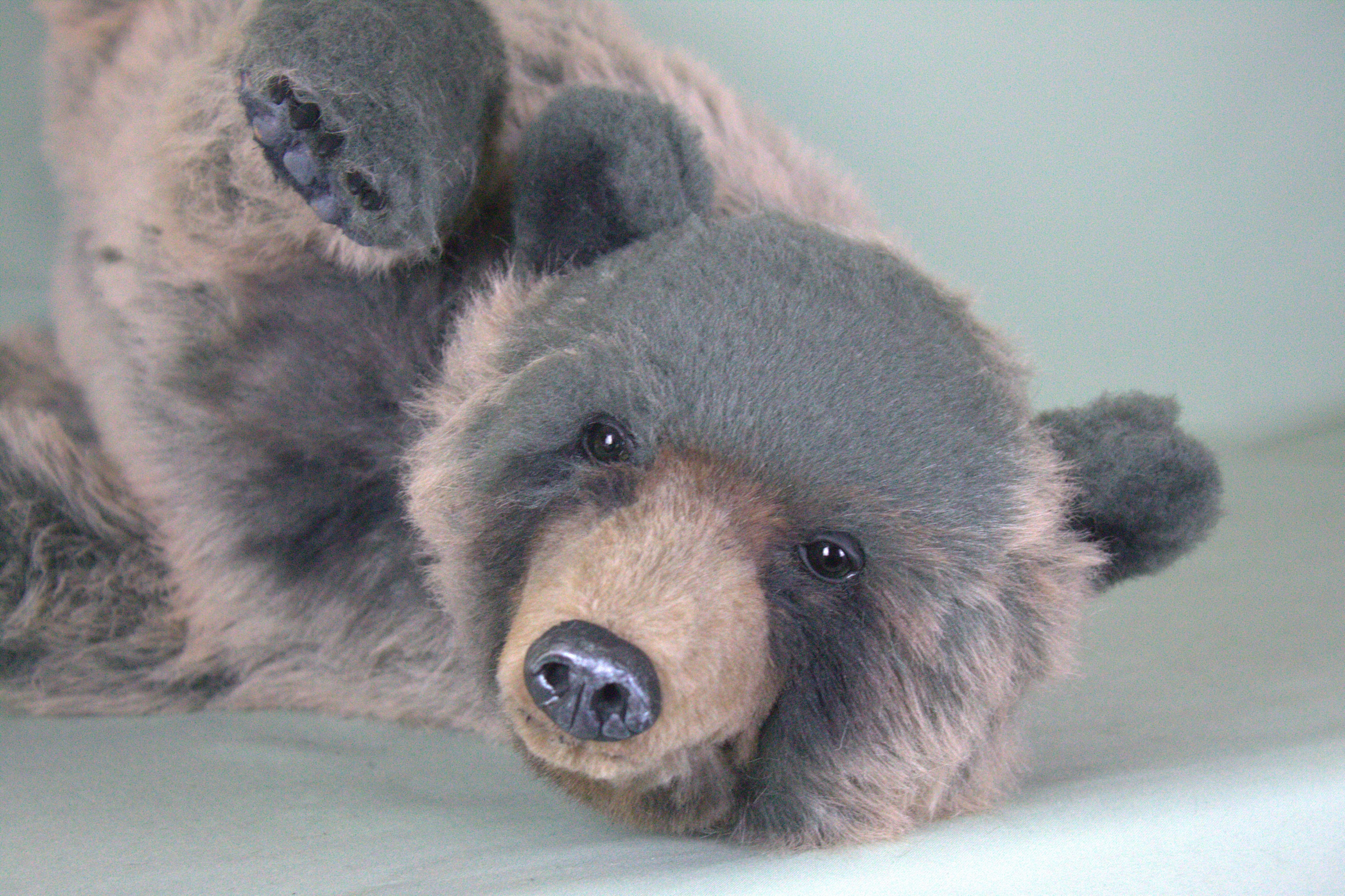 Realistic stuffed grizzly bear deals