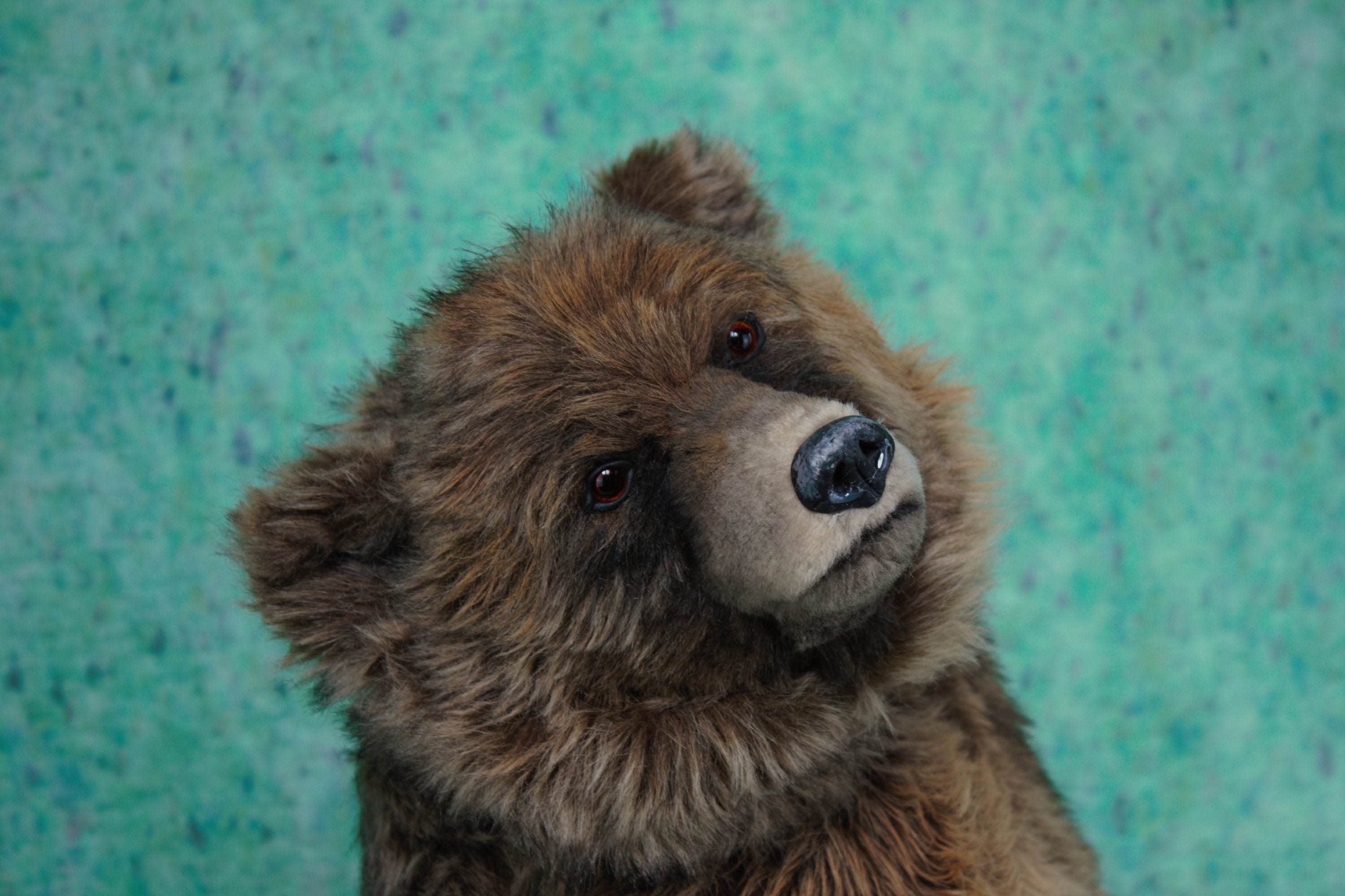 Realistic Brown Grizzly Bear / Handmade to Order / Artist Soft - Etsy