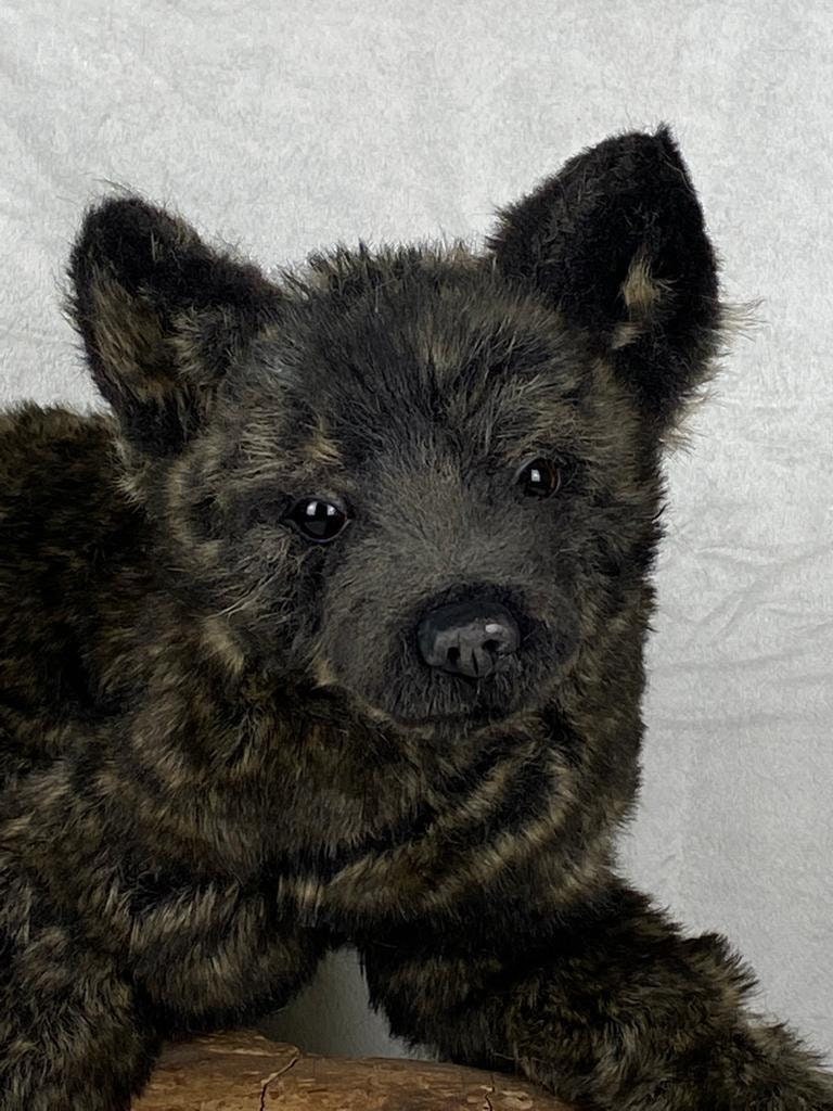 One Available Now / Realistic Black Wolf Cub / Lifesize Young Etsy UK