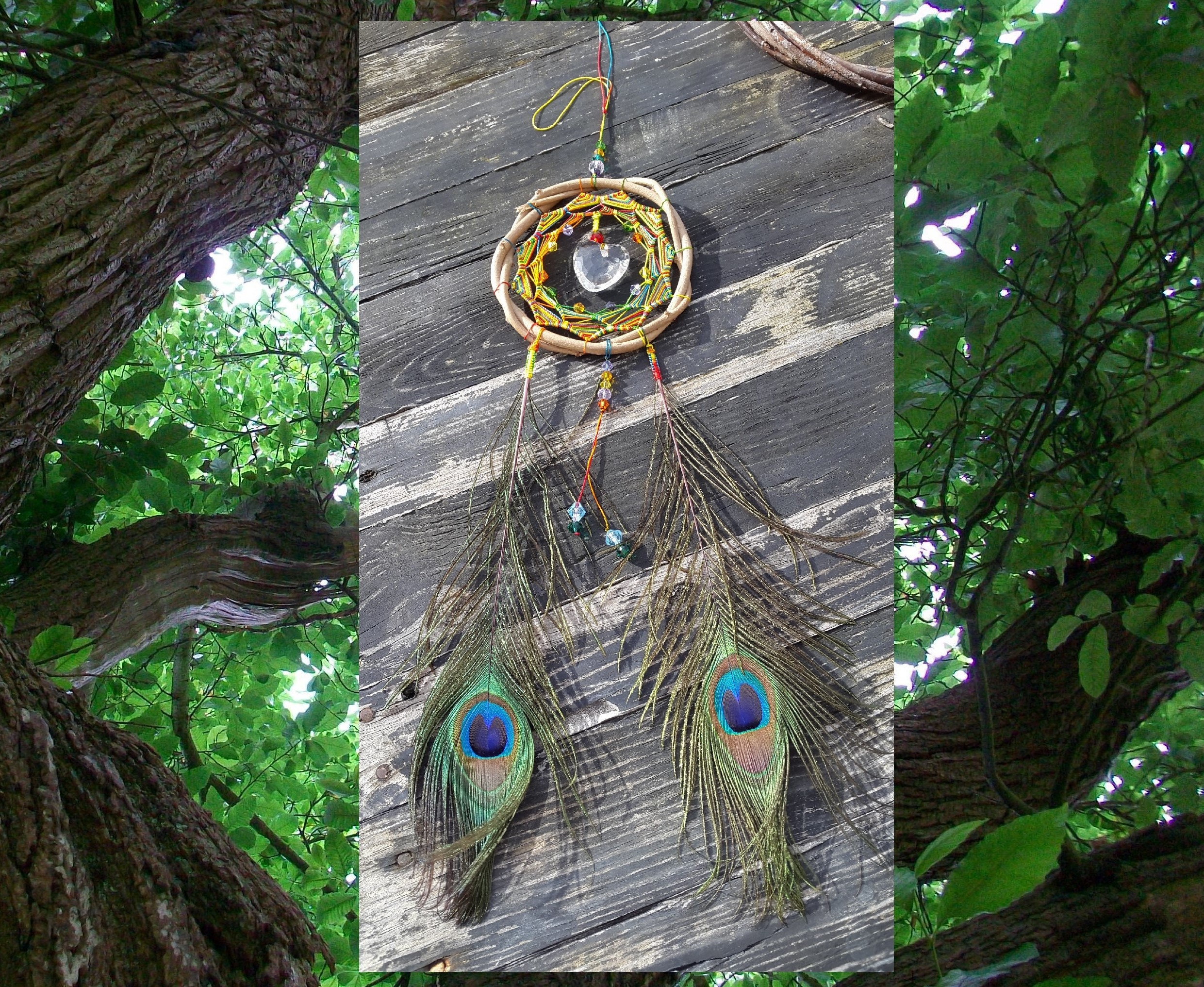 Capteur de Lumière Paon