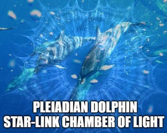 Pleiadian Dolphin Star-Link Chamber of Light Session