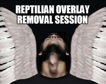 Reptilian Overlay Removal Session