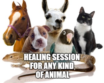 Healing Session for any kind of animal