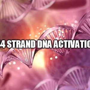 144 Strand DNA Activation