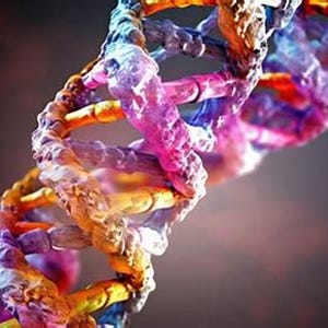 May include: A double helix DNA strand structure featuring a vibrant color palette of translucent purple, pink, orange, and yellow segments. The molecular model displays a twisted ladder configuration with detailed textured nodes along the backbone.