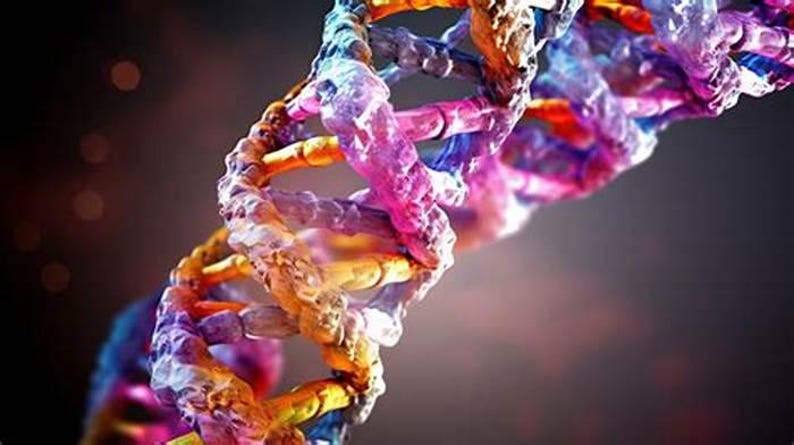 May include: A double helix DNA strand structure featuring a vibrant color palette of translucent purple, pink, orange, and yellow segments. The molecular model displays a twisted ladder configuration with detailed textured nodes along the backbone.