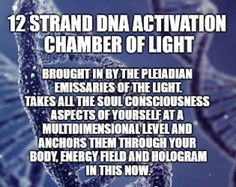 12 Strand DNA Activation Chamber of Light by the Brotherhood of the Light. Changes DNA and balances the 64 letter cells within the DNA.