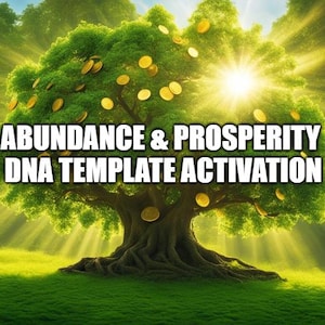 Abundance & Prosperity DNA Template Aktivierung Bild 1