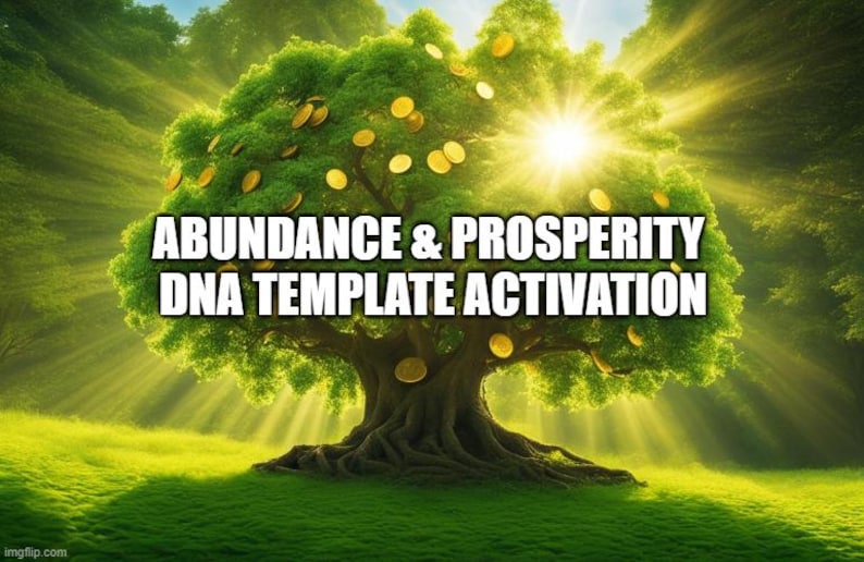 Abundance & Prosperity DNA Template Aktivierung Bild 1