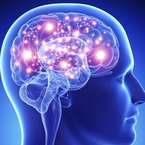 May include: A digital illustration of a human head in profile, rendered in shades of blue. The brain is visible inside the skull, featuring glowing white and pink light points that represent neural activity and connections within the organ.