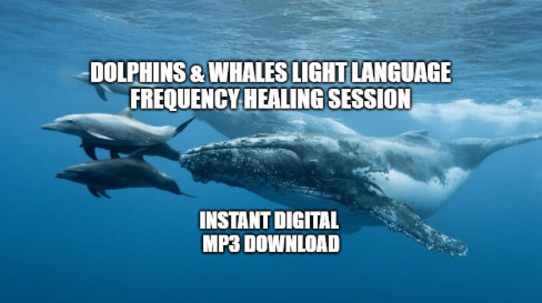 Light Language Session for Connecting You With Dolphins & Whales