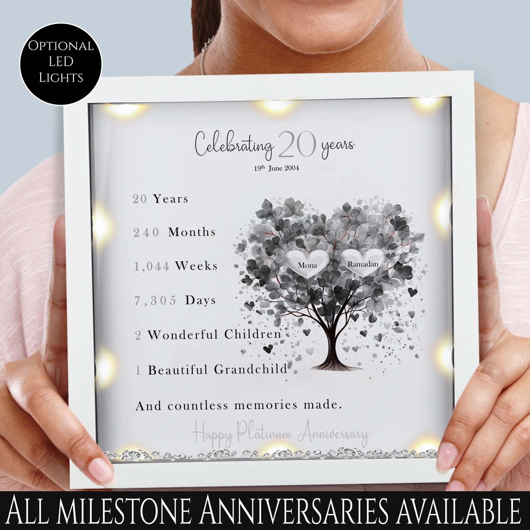 20th Wedding Anniversary Platinum Gift Ideas For Husband Unique
