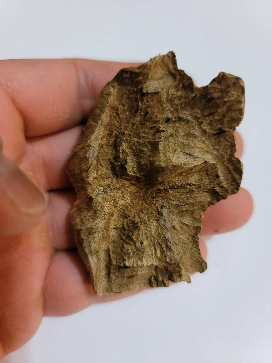 Cambodi Boden Agarwood Chip 11 Gramm. | Etsy