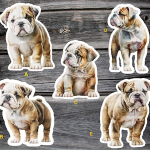 High Quality Bulldog Sticker