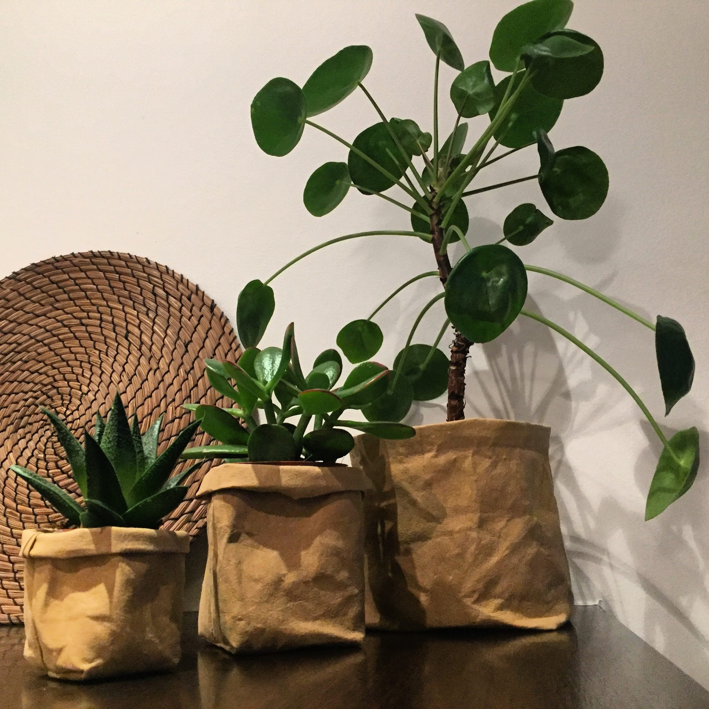 Pot Panier Vegan Aspect Cuir