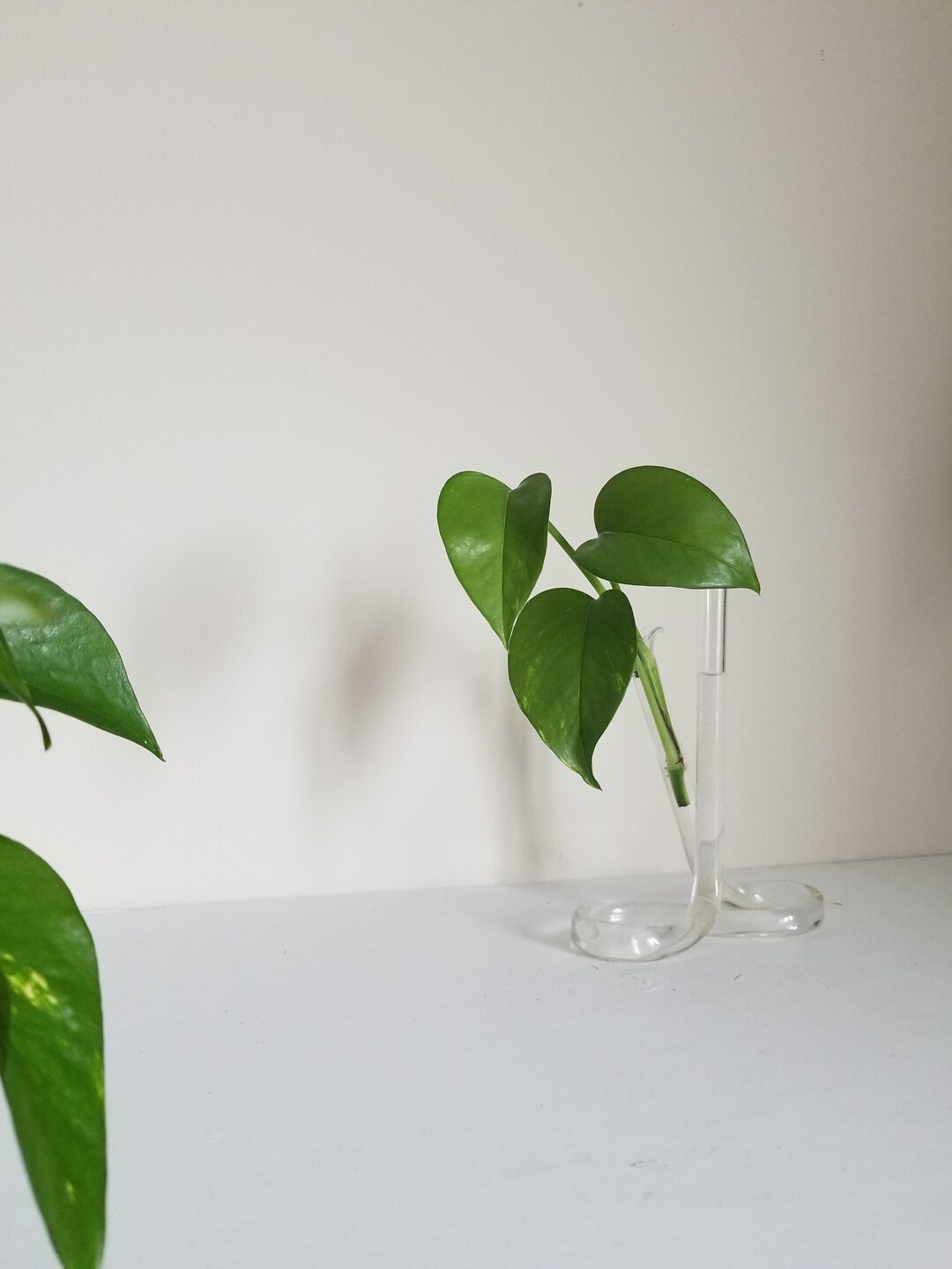 Vintage Propagation Station Glass Test Tube Vase Bud Vase Double