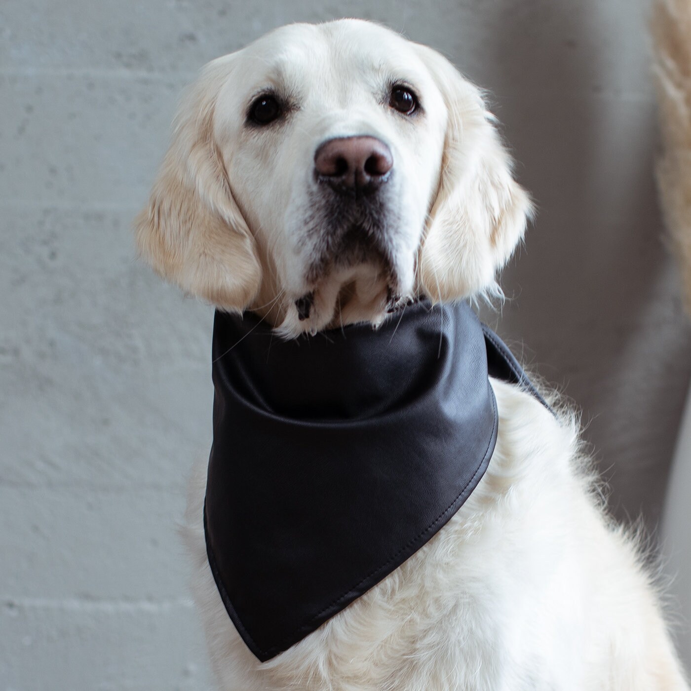 Stylish Black Vegan Leather Dog Bandana Faux Leather Pet Bandana