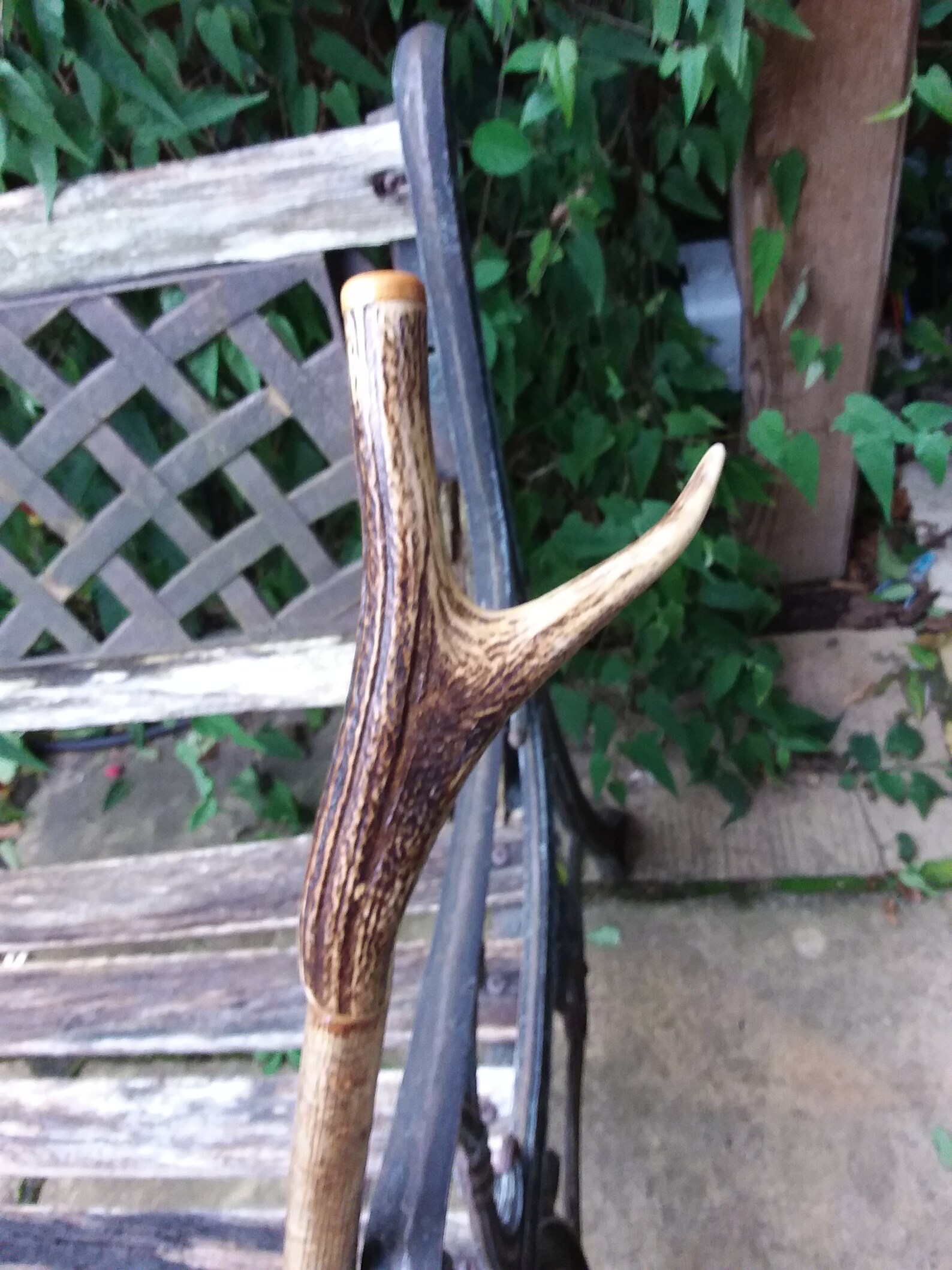 Walking stick Antler handled vintage wooden walking stick Etsy