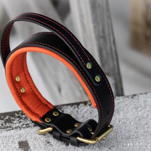 May include: A black and orange dog collar with red stitching. The collar has a padded orange interior and black exterior with gold-coloured hardware. The collar is made of leather and has a buckle closure.