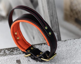 Collar para perro de trabajo/perro deportivo