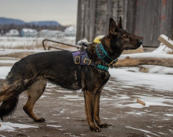 Galaxy working dog harness! (ONLY for medium, large and X large dog)