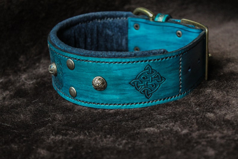 Acionna Celtic Viking dog collar