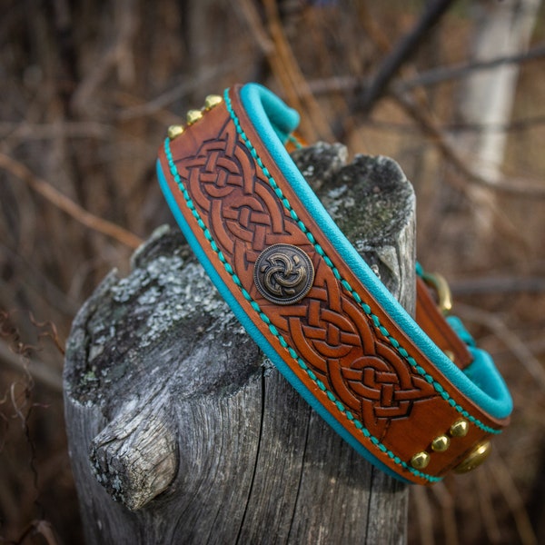 Vigo --- Viking collar  --> 1.5 inch