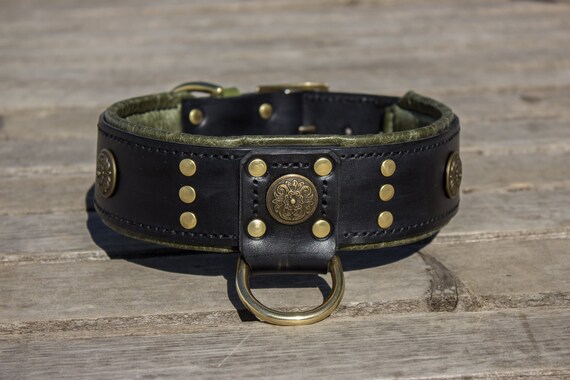 gladiator dog harness