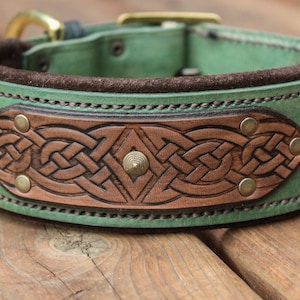 Acionna  Celtic Viking dog collar