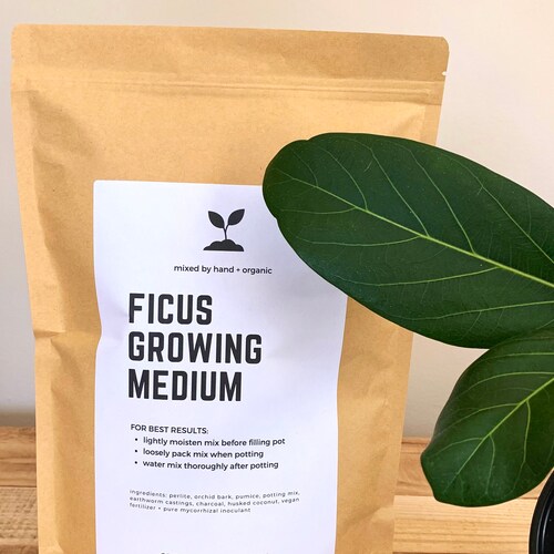 ZZ Plant Soil Mix Custom Organic Houseplant Growing Medium Etsy