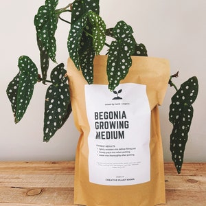 May include: A brown paper bag with a white label that reads "BEGONIA GROWING MEDIUM" and instructions for best results. The bag is sitting on a wooden surface with a spotted leaf plant in the background.