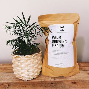 PALM Soil Mix - Houseplant Growing Medium - 3 LB / 2 Gallon