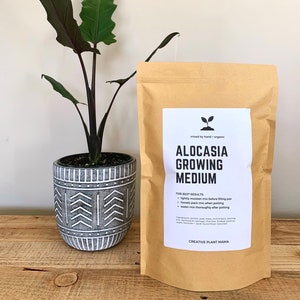 ALOCASIA Soil Mix - Houseplant Growing Medium - 3 LB  / 2 Gallon