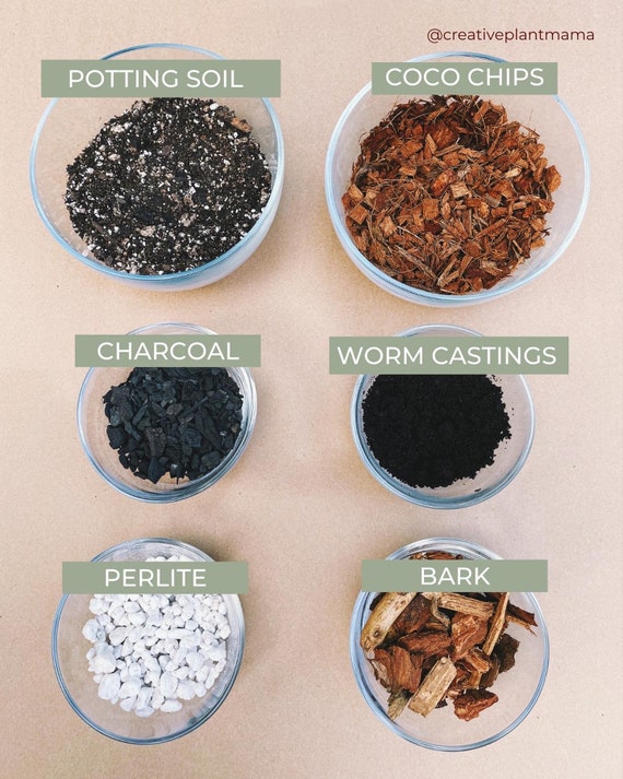 MONSTERA Soil Mix - Houseplant Growing Medium - 3 LB / 2 Gallon - Etsy