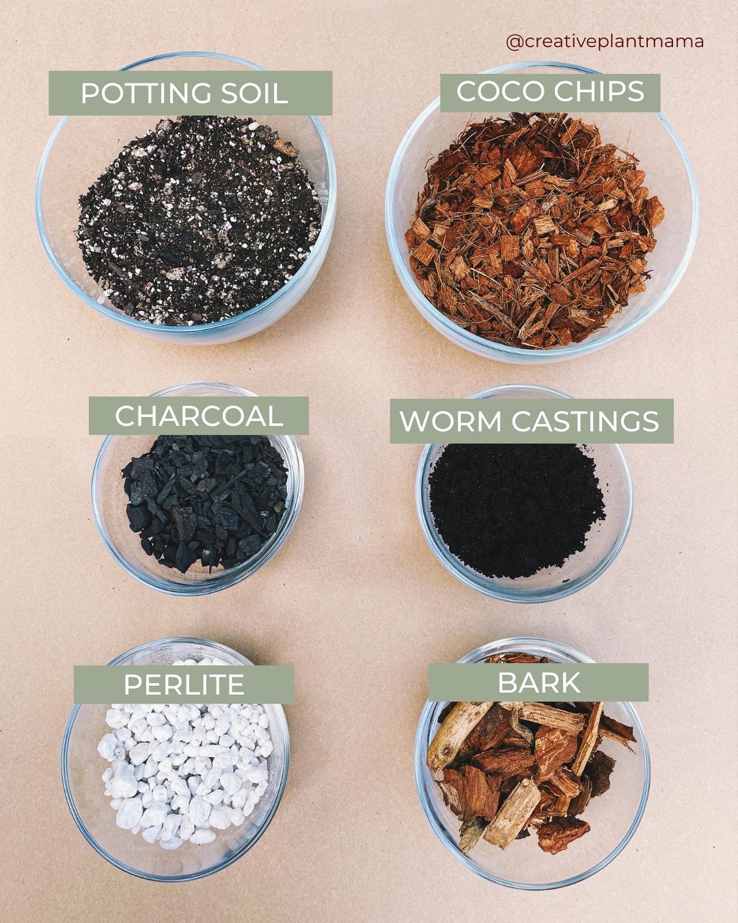 MONSTERA Soil Mix - Houseplant Growing Medium - 3 LB / 2 Gallon - Etsy